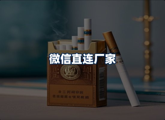 专业团队办公环境